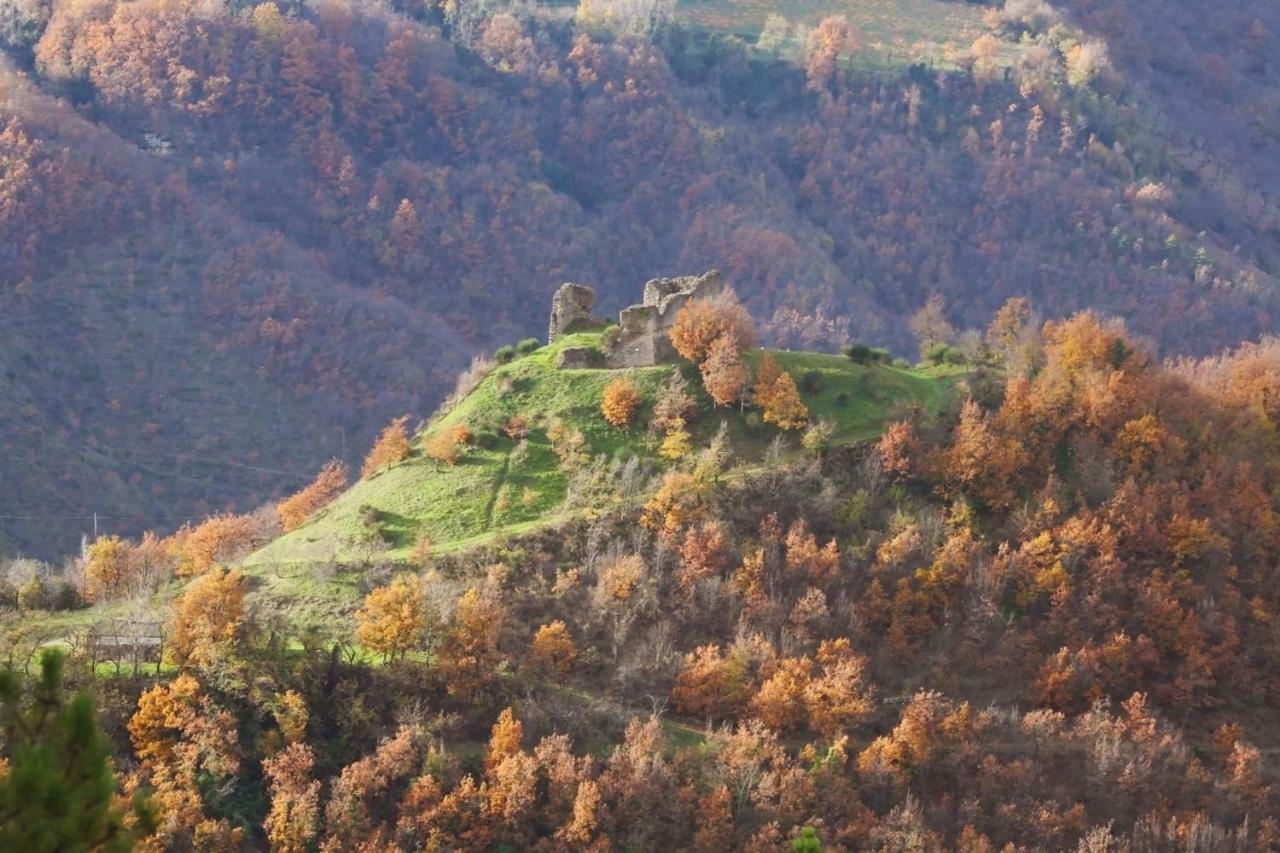 B&B Latordicella Castel del Rio Экстерьер фото