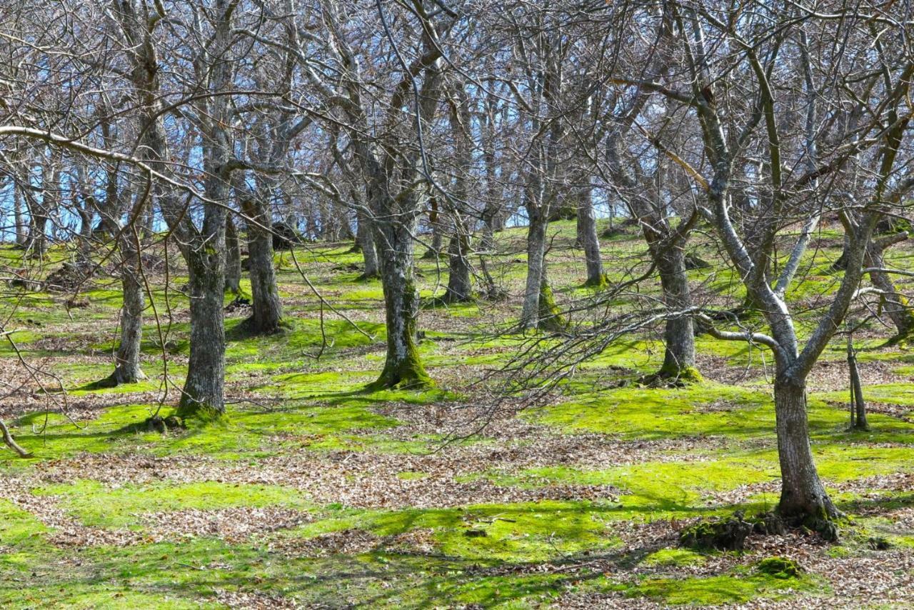 B&B Latordicella Castel del Rio Экстерьер фото